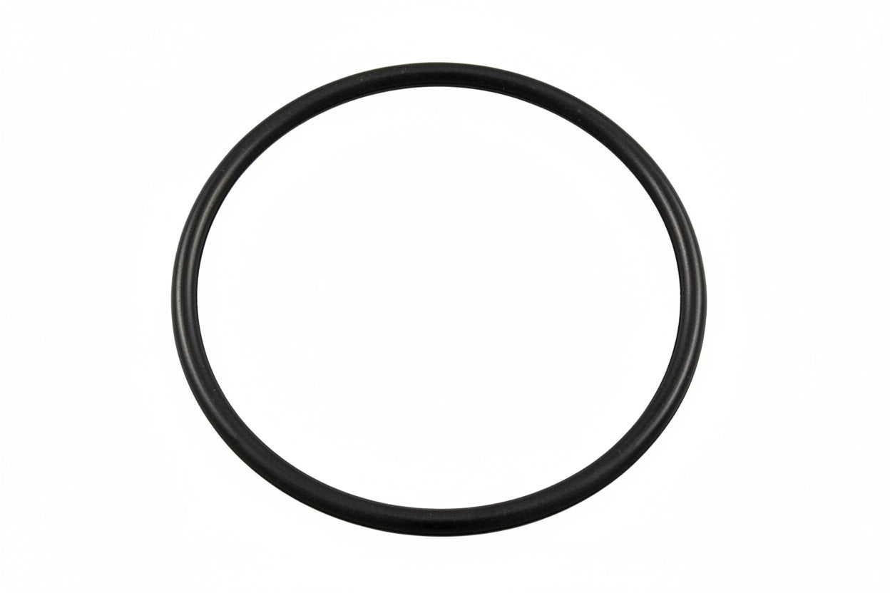 HC CHLORINATOR LID O'RING