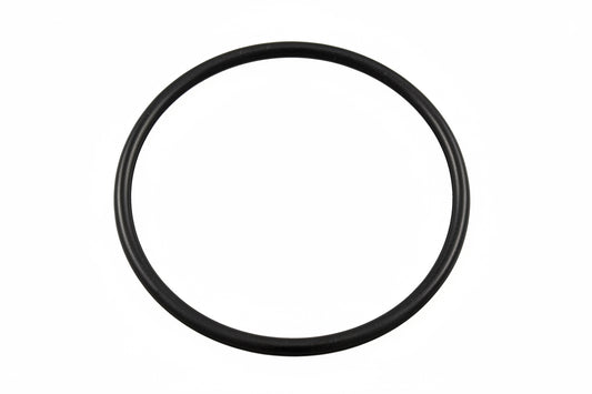 HC CHLORINATOR LID O'RING