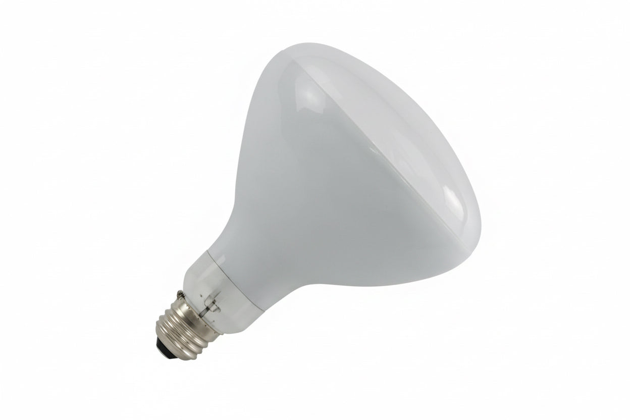 R40FL500 BULB 500W 120V R40