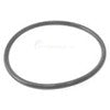 RAINBOW 300 LID O-RING